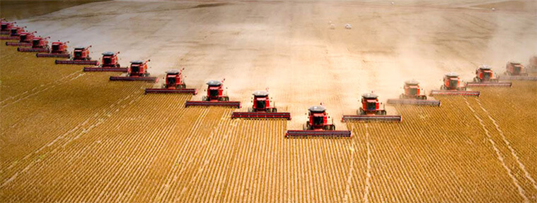 Bio-diverse farm