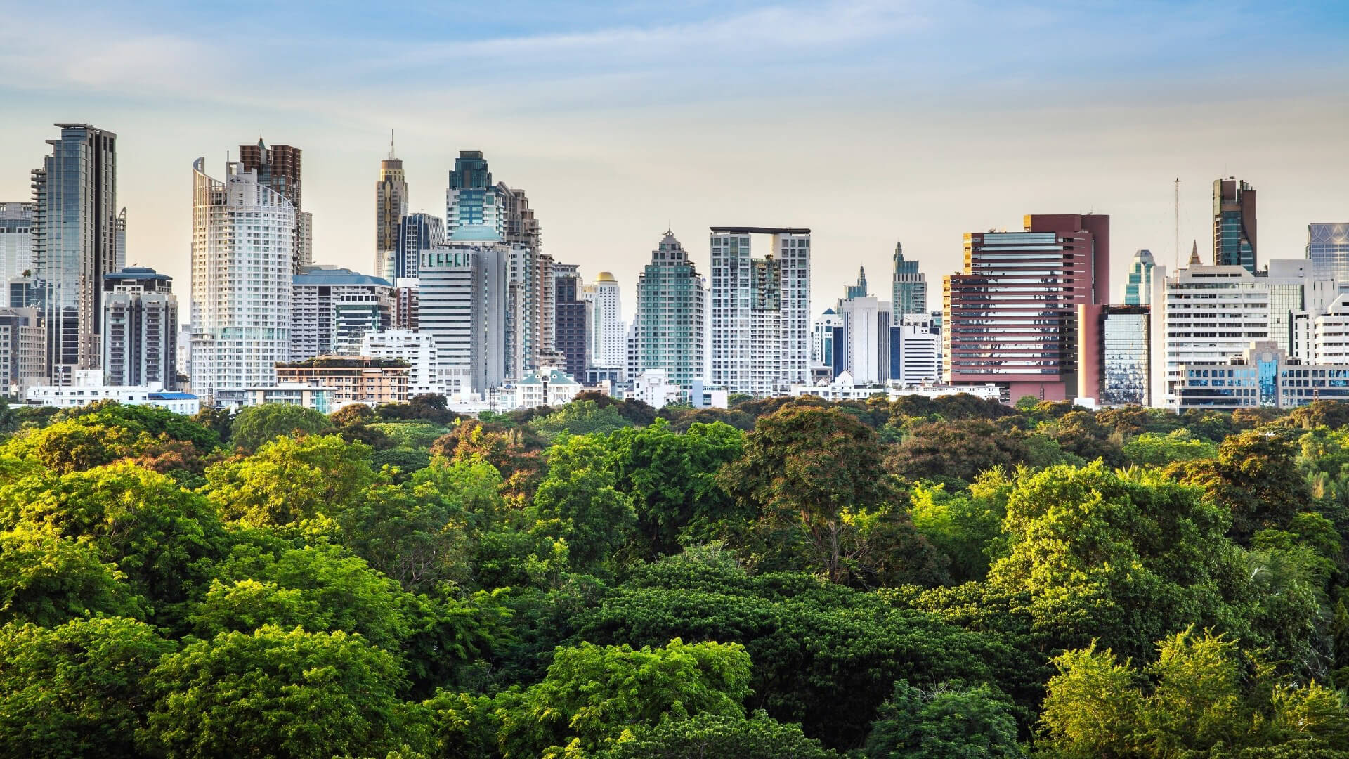 Sustainability City