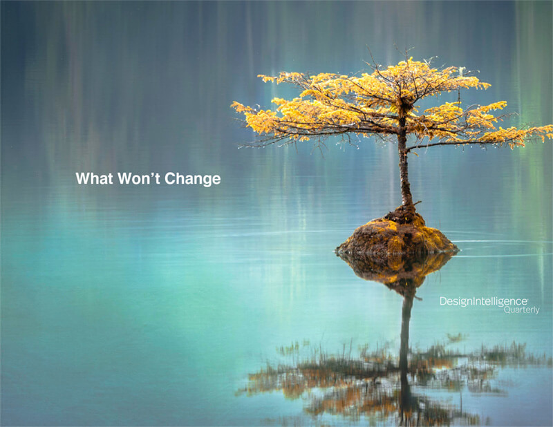 What won't change by Scott Simpson