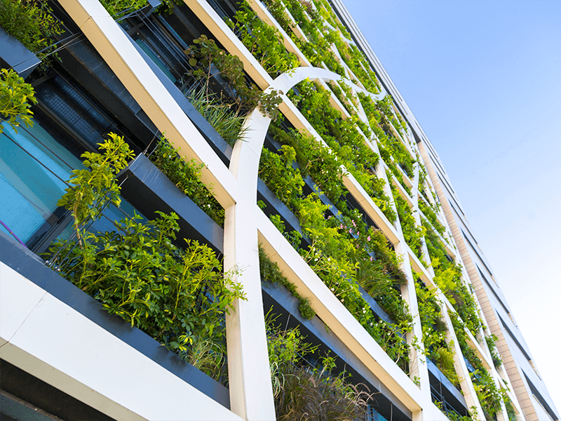 The Shift in Sustainability - Sandy Mendler