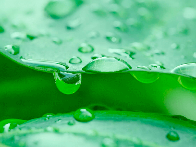 Sustainable Design: A Worthy Investment