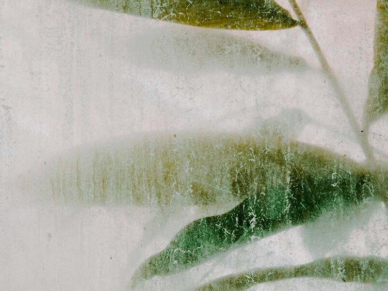 The Transactive Network: Supporting New Building Paradigm