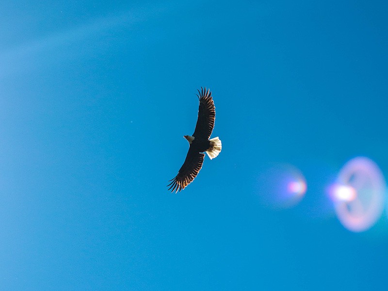 The Way of Authentic Leadership — Part 2